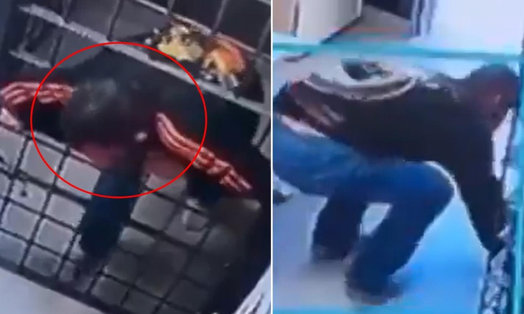 Gündemden Son Bilgiler: Cezaevinde yok artık dedirten firar ve Merak Edilenler
