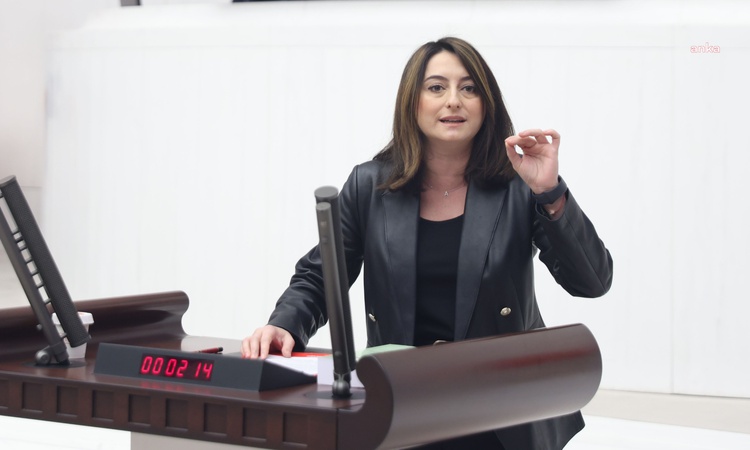 Gündemden Son Bilgiler: CHP'li Bankoğlu 2027 bütçesinde kadına yönelik şiddetle mücadeleye kaynak istedi: Geli
