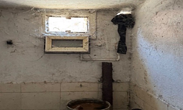 Gündemden Son Bilgiler: CİMER, Adana Seyhan'da çöp evdeki anne ve 3 çocuk için kurumları harekete geçirdi | İş