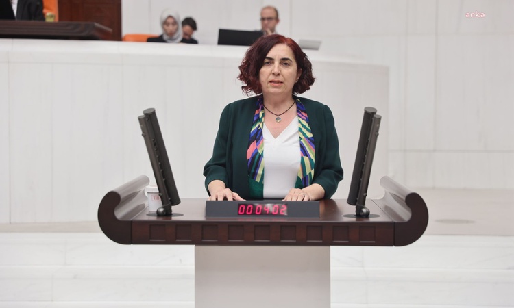 Gündemden Son Bilgiler: DEM Partili Çelenk, Cansu Badur'un Afganistan'da alıkonulmasını Meclis'e taşıdı: Geliş