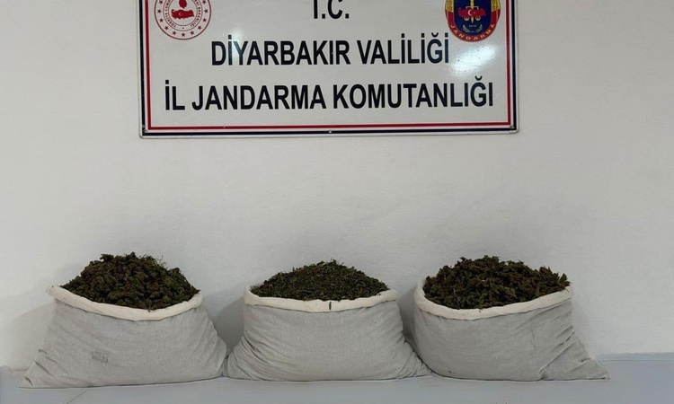 Gündemden Son Bilgiler: Diyarbakır'da jandarma 253 bin 752 kök kenevir, 42 kilo 600 gram esrar ele geçirdi ve