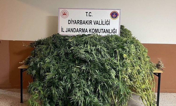 Gündemden Son Bilgiler: Diyarbakır'da uyuşturucu ticareti operasyonlarında 32 şüpheli işlem gördü