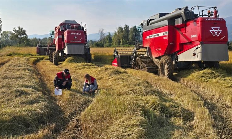 Gündemden Son Bilgiler: Düzce'de üreticilere anız yakmama uyarısı yapıldı, biçerdöver denetimleri sürüyor ve M