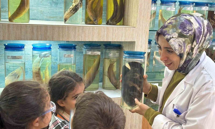Gündemden Son Bilgiler: Elazığ'da ilkokul öğrencileri Balık Müzesi ve Akvaryum Ünitesini ziyaret etti | İşte T