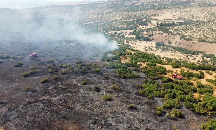 Gündemden Son Bilgiler: Elazığ'da Orman Yangını Kontrol Altında - Son Dakika Bilgileri