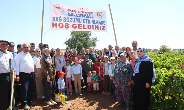 Gündemden Son Bilgiler: Gölbaşı’nda bağ bozumu heyecanı resmen start aldı