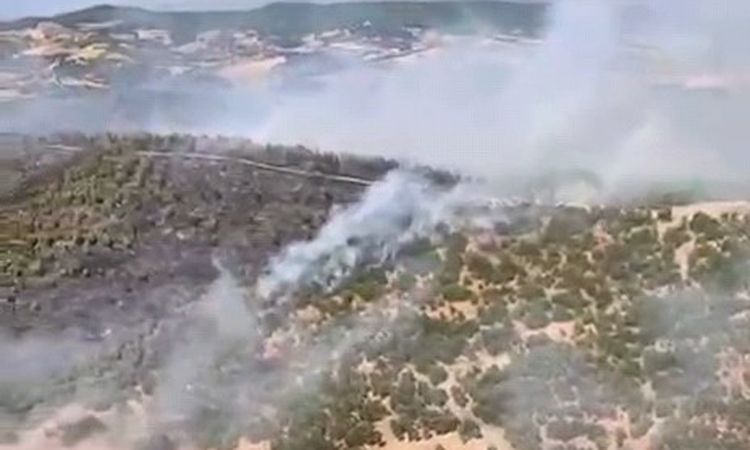 Gündemden Son Bilgiler: Gördes'te orman yangını kontrol altına alındı ve Merak Edilenler