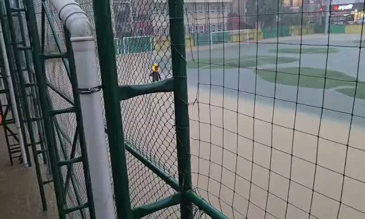 Gündemden Son Bilgiler: İstanbul selinde 3 kişi öldü, Ayazağa'da mahsur çocukları spor hocası kurtardı ve Mera