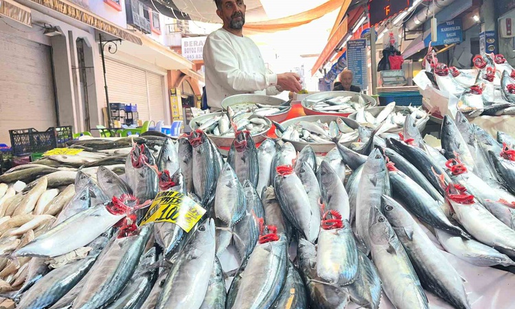 Gündemden Son Bilgiler: İzmir'de palamut bolluğu yaşanıyor, tanesi 100 liradan alıcı buluyor: Gelişmeler Takip