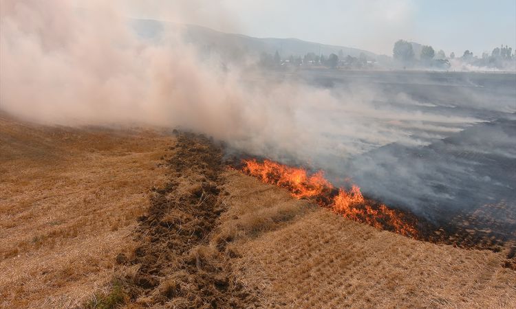 Gündemden Son Bilgiler: Kütahya'da Anız Yangını Kontrol Altına Alındı ve Merak Edilenler