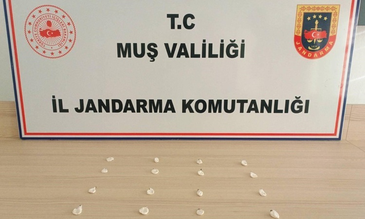 Gündemden Son Bilgiler: Muş'ta jandarma Eylül'de 19 narkotik olayına müdahale etti, 3 şüpheli hakkında tutukla