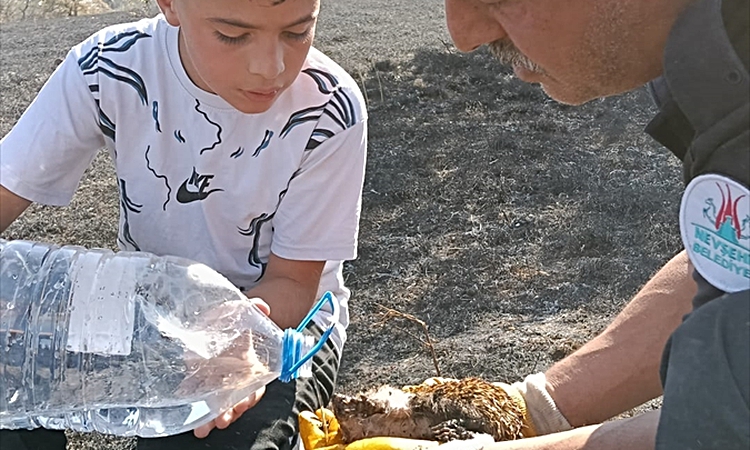 Gündemden Son Bilgiler: Nevşehir'de itfaiye eri yangından kurtardığı kirpiye su verdi - Son Dakika Bilgileri