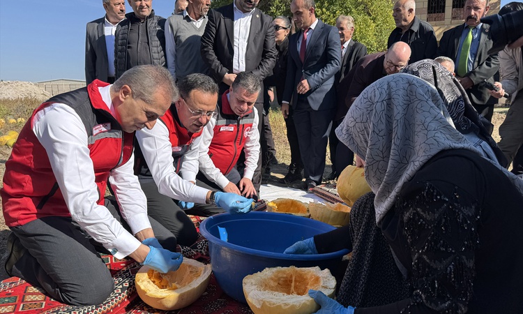 Gündemden Son Bilgiler: Nevşehir'de kabak çekirdeği hasadı yapıldı, 47 bin tonla Türkiye'de birinci olundu: Ge