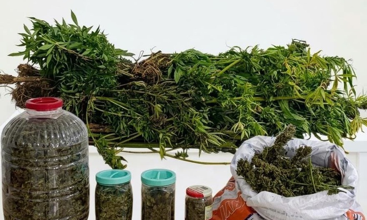Gündemden Son Bilgiler: Ordu Akkuş'ta jandarmanın uyuşturucu operasyonunda 1 şüpheli hakkında tutuklama kararı