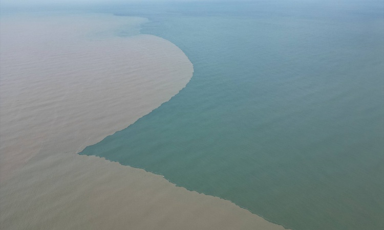 Gündemden Son Bilgiler: Sakarya'da sağanakla Karasu'da deniz kahverengiye döndü, Kocaali sahili kirlendi: Geli