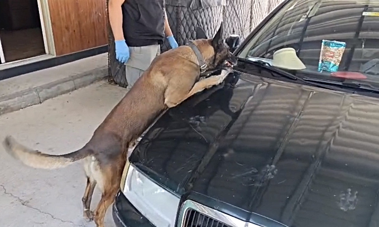 Gündemden Son Bilgiler: Samsun’da peş peşe uyuşturucu operasyonları: 1 kilo 225 gram metamfetamin ele geçirild
