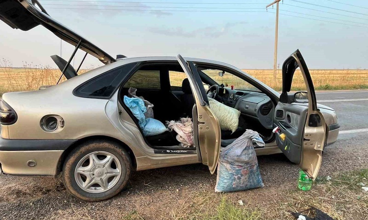 Gündemden Son Bilgiler: Şanlıurfa'da TİGEM bahçesinden 75 kilo fıstık çaldıkları iddiasıyla 4 kişi yakalandı v