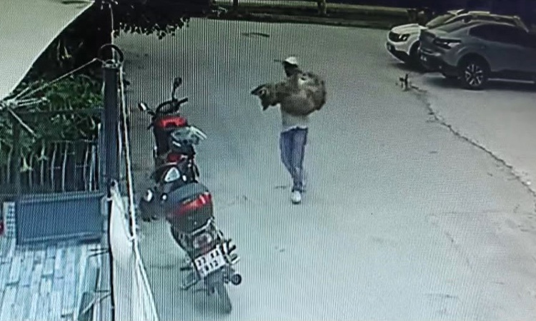 Gündemden Son Bilgiler: Silifke'de otomobille ezilen köpek Kanka kurtarılamadı! Araçtan inen 3 kişi olay yerin