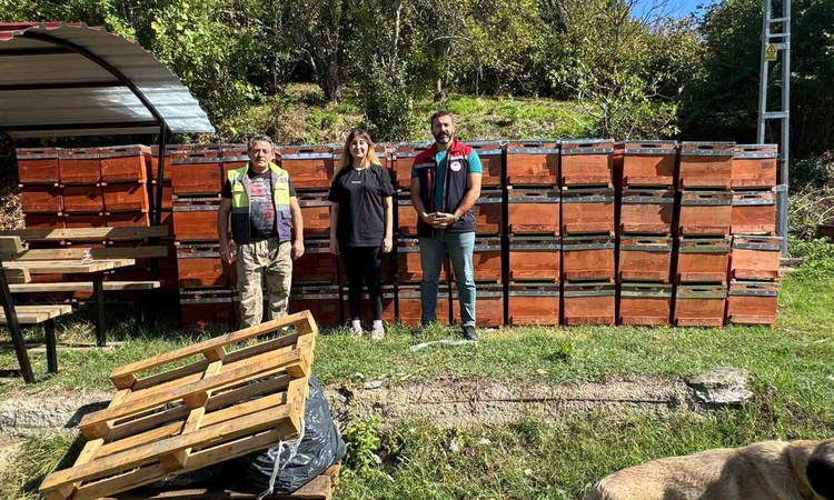 Gündemden Son Bilgiler: Sinop Erfelek'te genç kadın girişimci, arıcılık için 774 bin 200 TL hibe desteği aldı.