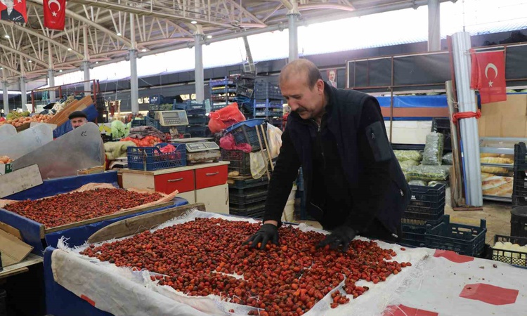 Gündemden Son Bilgiler: Sivas'ta kuşburnu sezonu açıldı, halde 70-150 TL arasında satılıyor | İşte Tüm Ayrıntı