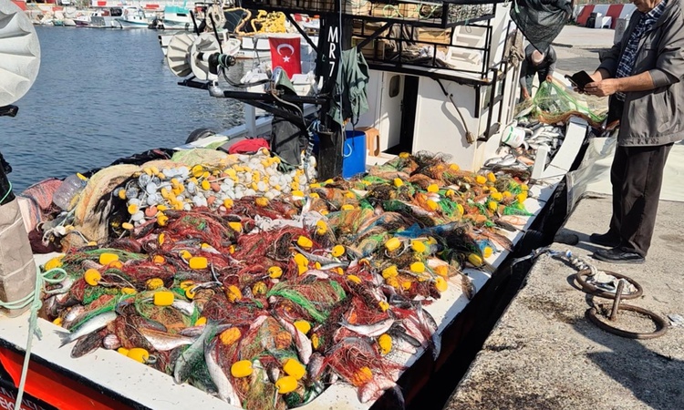 Gündemden Son Bilgiler: Tekirdağ'da balıkçılar Marmara'dan yaklaşık 1,5 ton kefalle limana döndü | İşte Tüm Ay