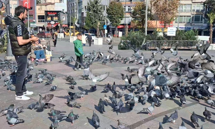 Gündemden Son Bilgiler: Tekirdağ Çorlu'da 16 dereceyi gören vatandaşlar park ve oyun alanlarına akın etti - So