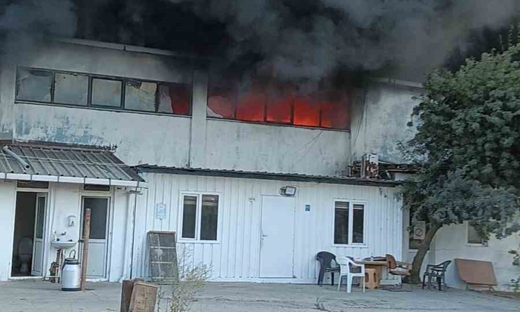Gündemden Son Bilgiler: Tekirdağ Muratlı'da geri dönüşüm tesisinde yangın çıktı, müdahale sürüyor | İşte Tüm A
