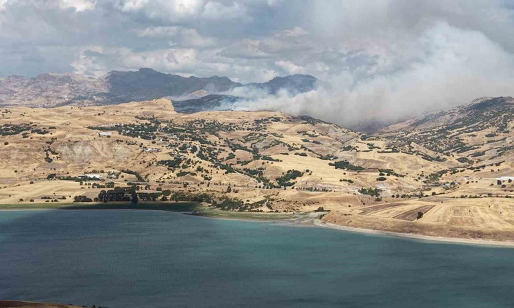 Gündemden Son Bilgiler: Tunceli Mazgirt'te kırsal alandaki yangın rüzgarın etkisiyle genişledi: Gelişmeler Tak