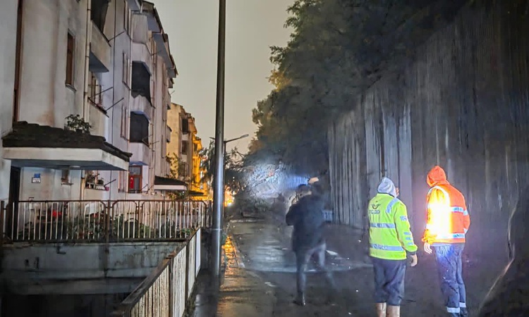 Gündemden Son Bilgiler: Zonguldak Kilimli'de ÇATES lojmanlarında istinat duvarı çöktü, 3 araç hasar gördü