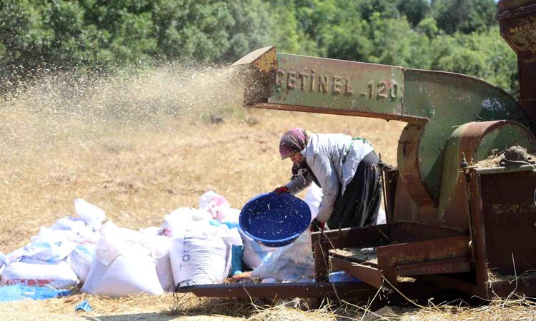 Hatay farmers continue their dusty work in the scorching heat - Last Minute