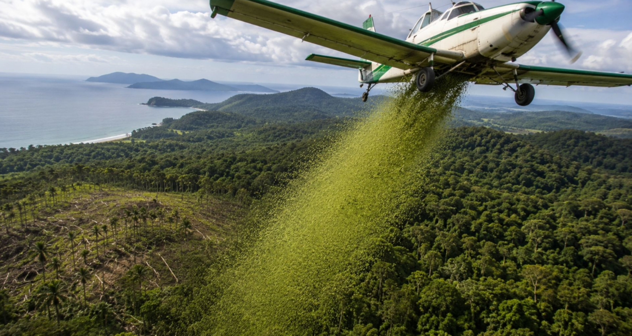 Helikopterle havadan 700 bin tane bıraktılar - Haberleri ve Merak Edilenler