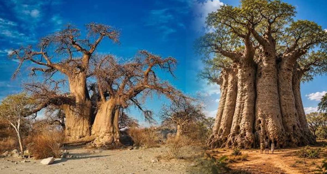 It stores 4 thousand 500 liters of water inside and roars like a lion in the wind - Last Minute