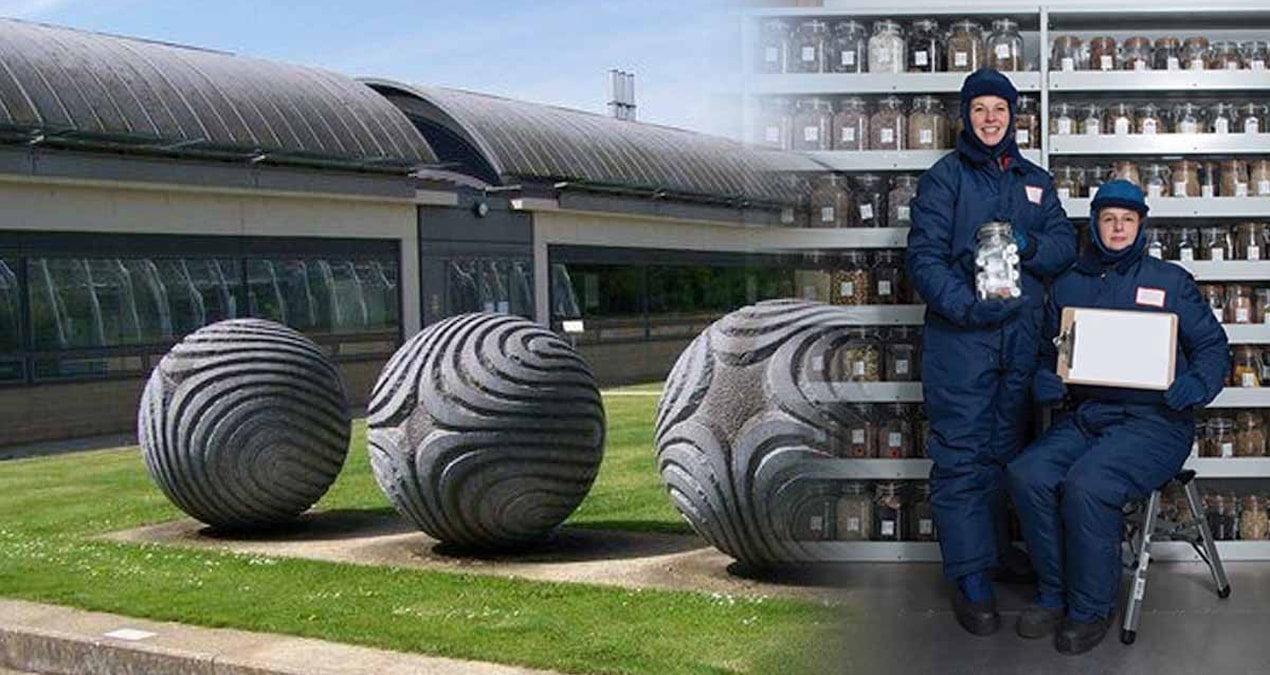 İçinde ne altın ne dolar var! Dünyanın en değerli bankası -20 derecede saklanıyor - Haberleri - Son Dakika Bil