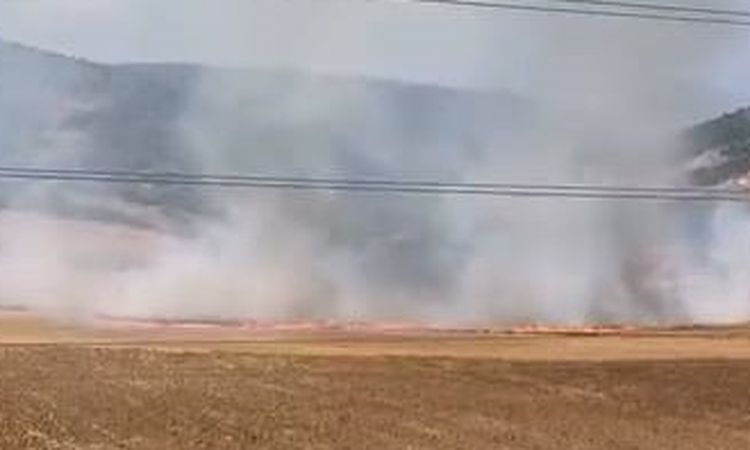 İnegöl'de Tarla Yangını: 16 Yaşındaki Şüpheli Gözaltında - Son Dakika Haberleri: Gelişmeler Takip Ediliyor