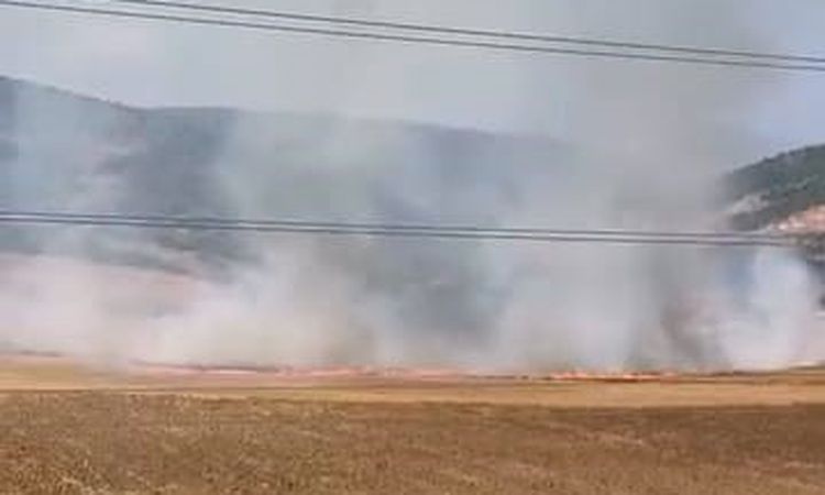 İnegöl'de Tarlayı Ateşe Veren 16 Yaşındaki Şüpheli Yakalandı - Son Dakika Haberleri: Gelişmeler Takip Ediliyor