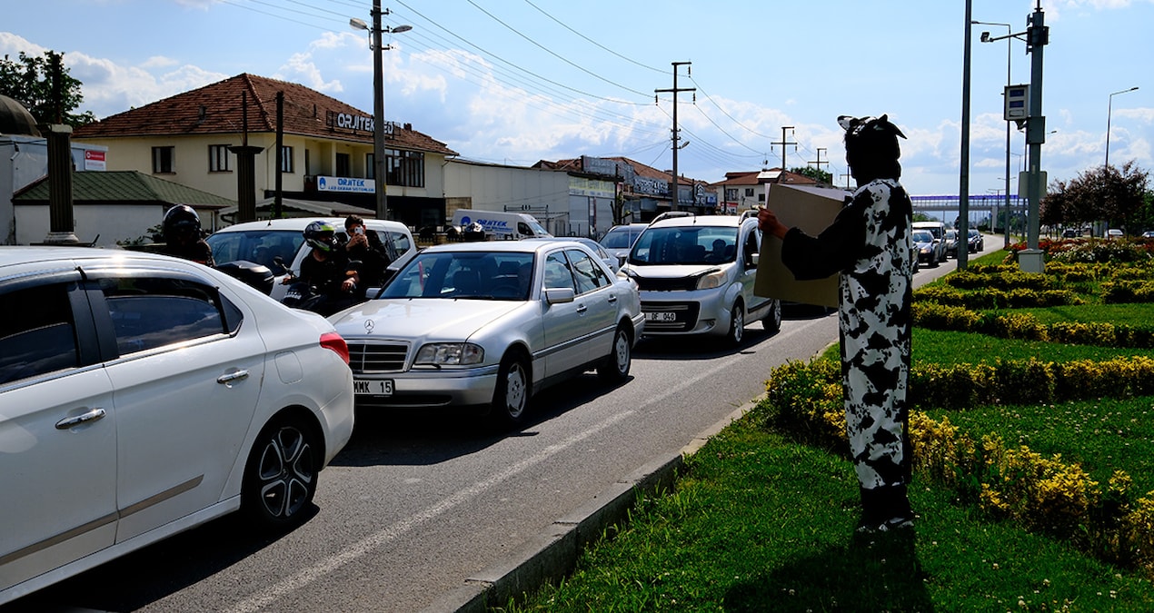 Son Gelişme: İnek kostümüyle yol kenarına geçti, açtığı pankartla sürücüleri gülümsetti - Son Dakika Haberleri