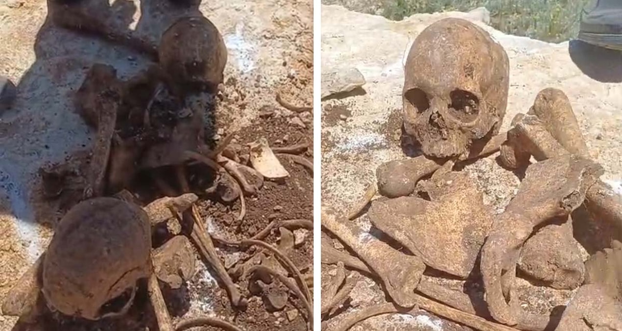 Human bones and 2 skulls were found during construction excavation - Last Minute