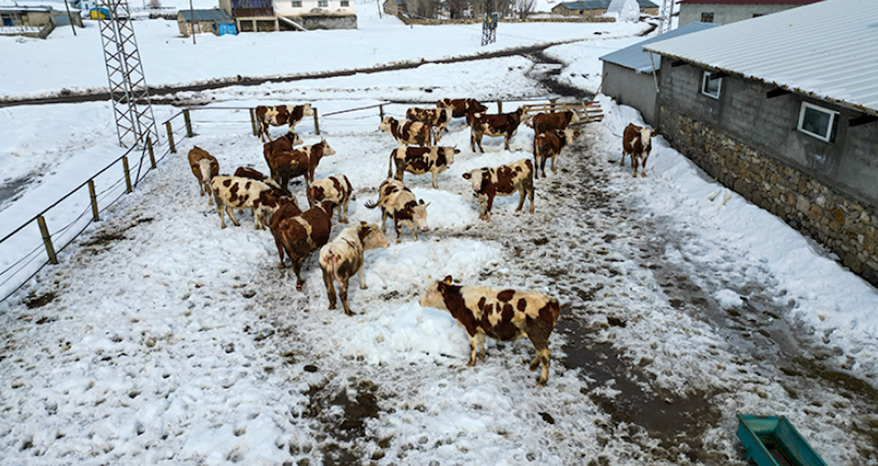 Sıcak Gündem: İstanbul'dan sıkılıp köye yerleşen mühendis şimdi paraya para demiyor - Son Dakika Haberleri ve