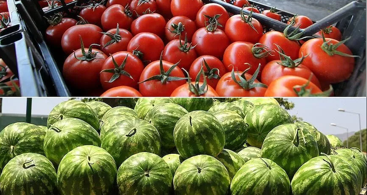 Watermelon and tomato were the most consumed fruits in Istanbul in June - News