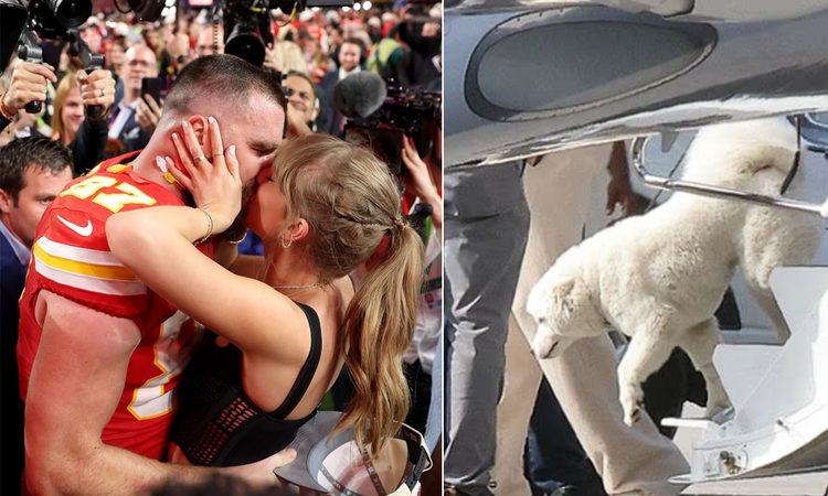 Here is the dog that Taylor Swift and Travis Kelce kept a secret! - Breaking News