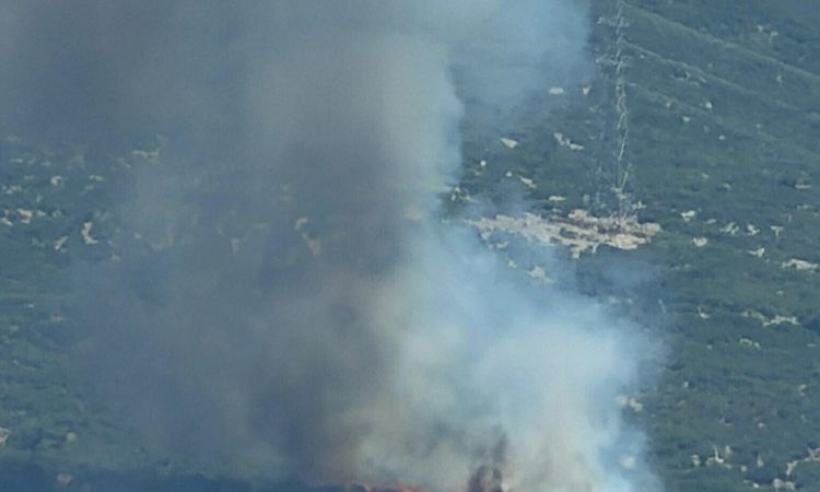 Forest flames in Izmir - Last Minute