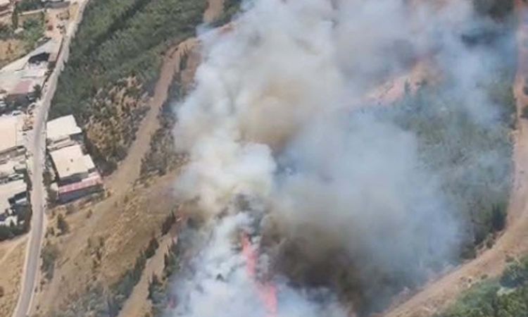 Flames broke out in a grassy area in Izmir and spread to the forest - Last Minute