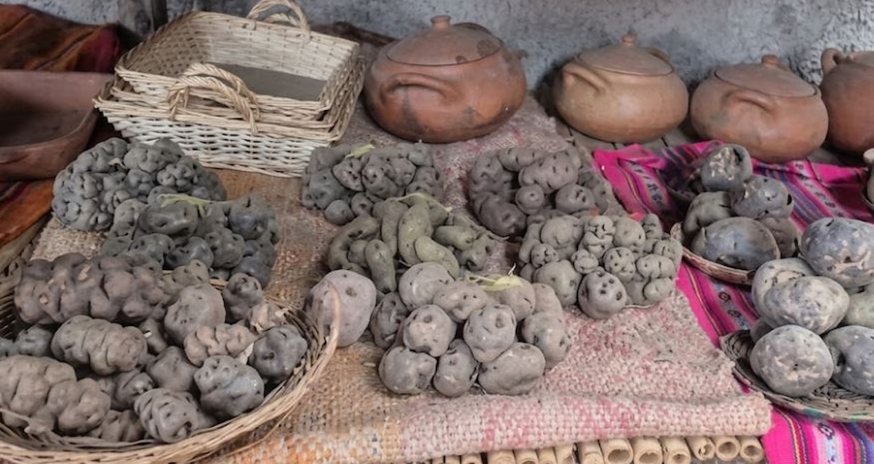 Ancient preservation method emerged by chance: They look like they were just bought from the market - News