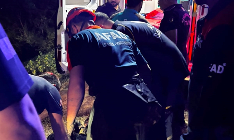 Kahramanmaraş Onikişubat'ta bataklığa saplanan yaşlı adamı ekipler halatla kurtardı - Son Dakika Bilgileri