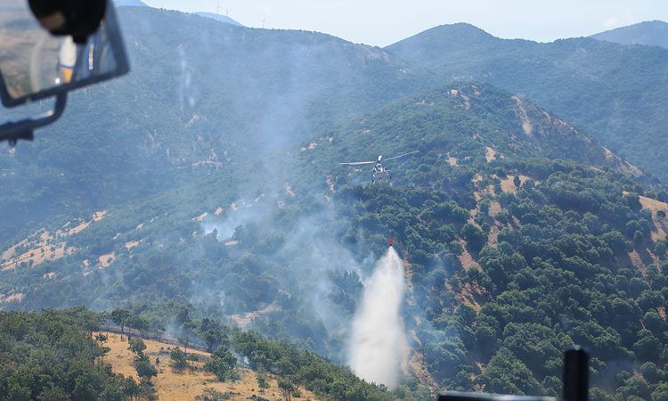Kahramanmaraş'ta İki Ayrı Orman Yangını Kontrol Altına Alındı - Son Dakika Bilgileri