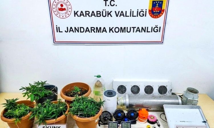 Drug raid in Karabük: Skunk greenhouse unearthed - Last Minute