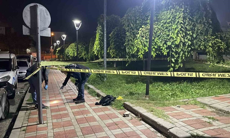 Karaman'da parkta bıçaklanan 17 yaşındaki 2 çocuk ağır yaralandı, şüpheli yakalandı: Gelişmeler Takip Ediliyor