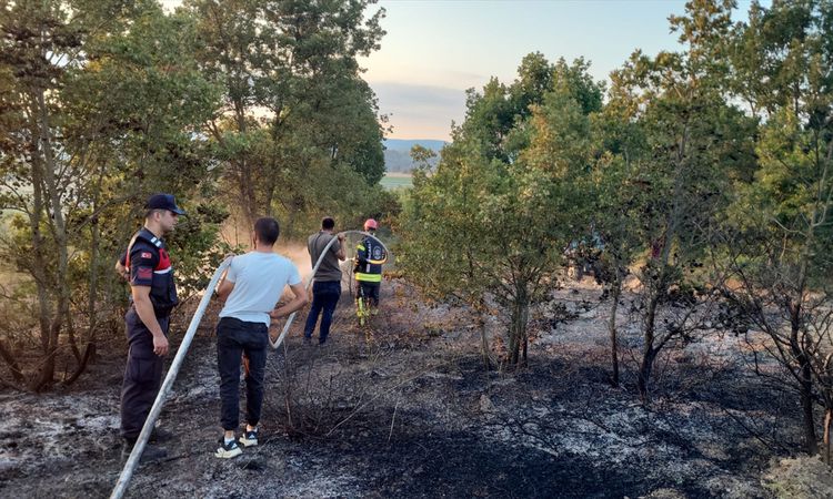 Gündemden Son Bilgiler: Karamürsel'de orman alevlerı kontrol altında - Son Dakika Haberleri