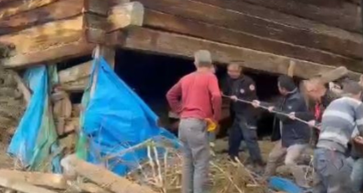 Son Gelişme: Kastamonu'da ağıl çöktü: Sağım yapan kadın ve onlarca hayvan göçük altında can verdi - En Son Hab