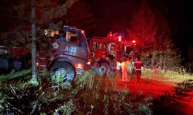 Forest fires in Kastamonu were restrained - Last Minute